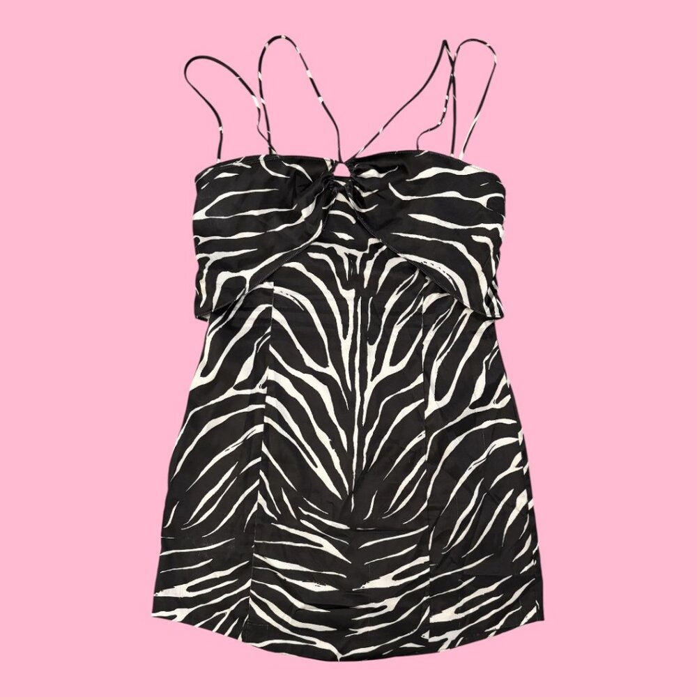 Zara Zebra Satin Dress